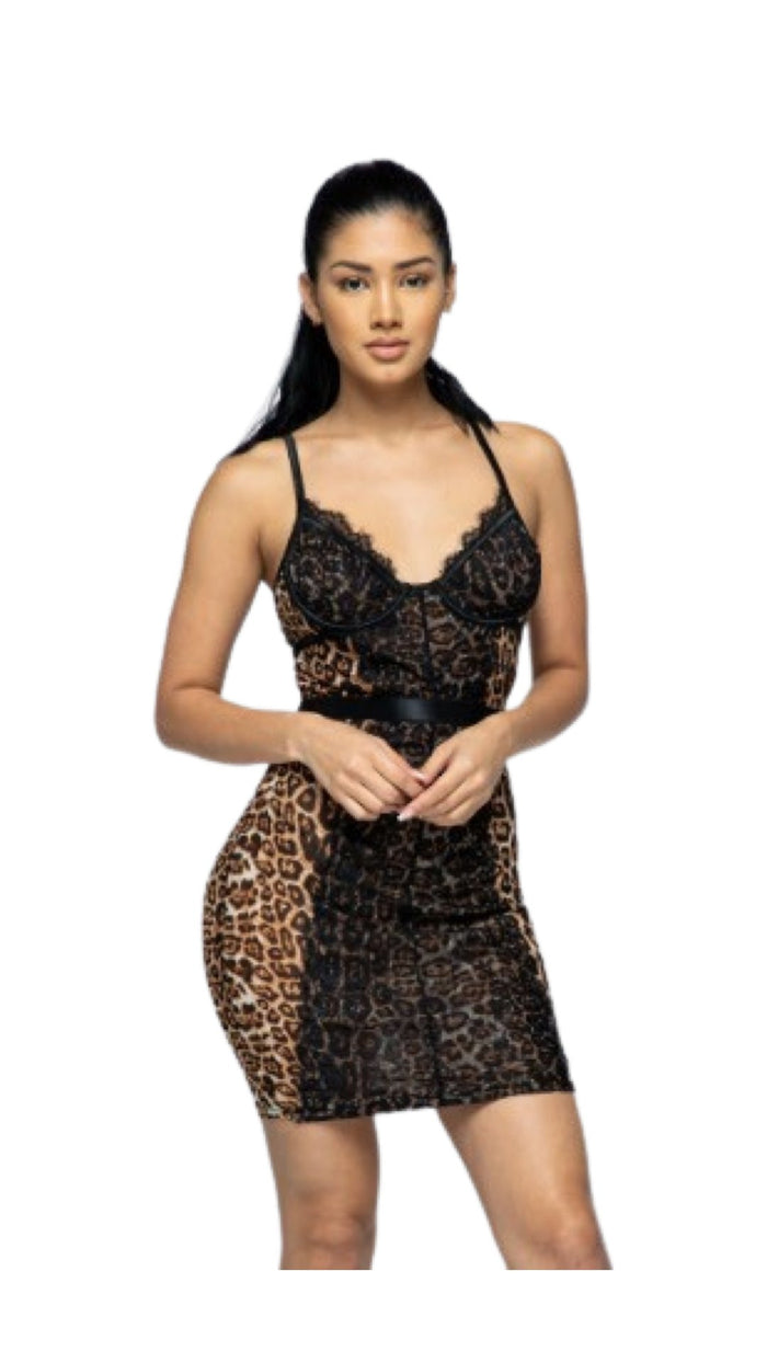 Leopard Lace Dress - Model Express VancouverClothing