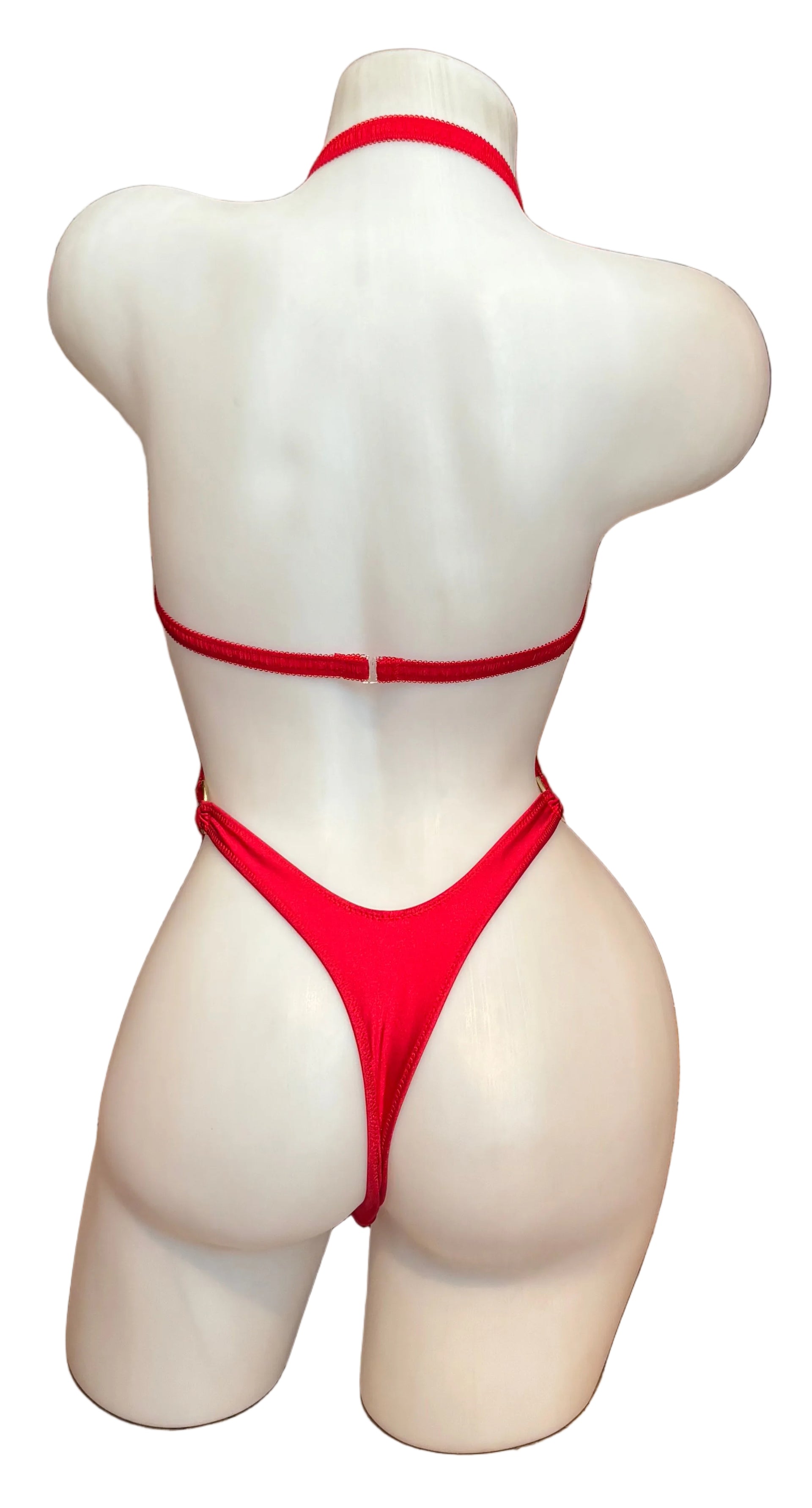 Back harness body cage