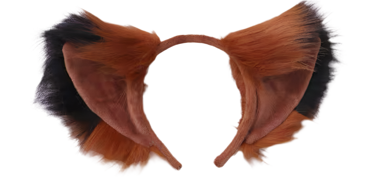 Fox Ears