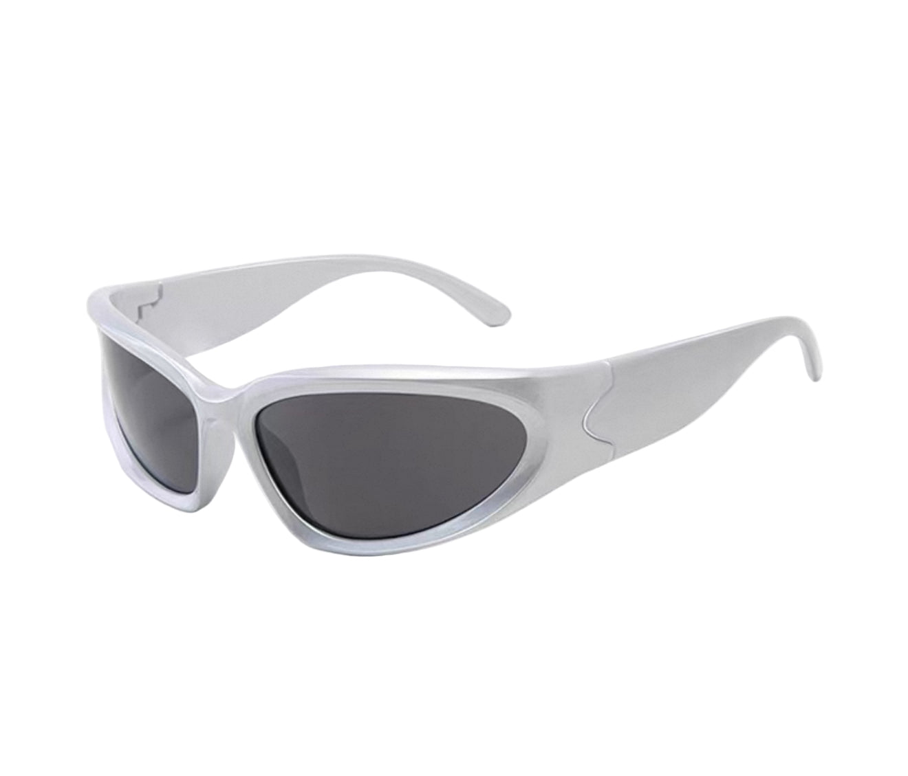 Silver Sunglasses 1 - Model Express Vancouver