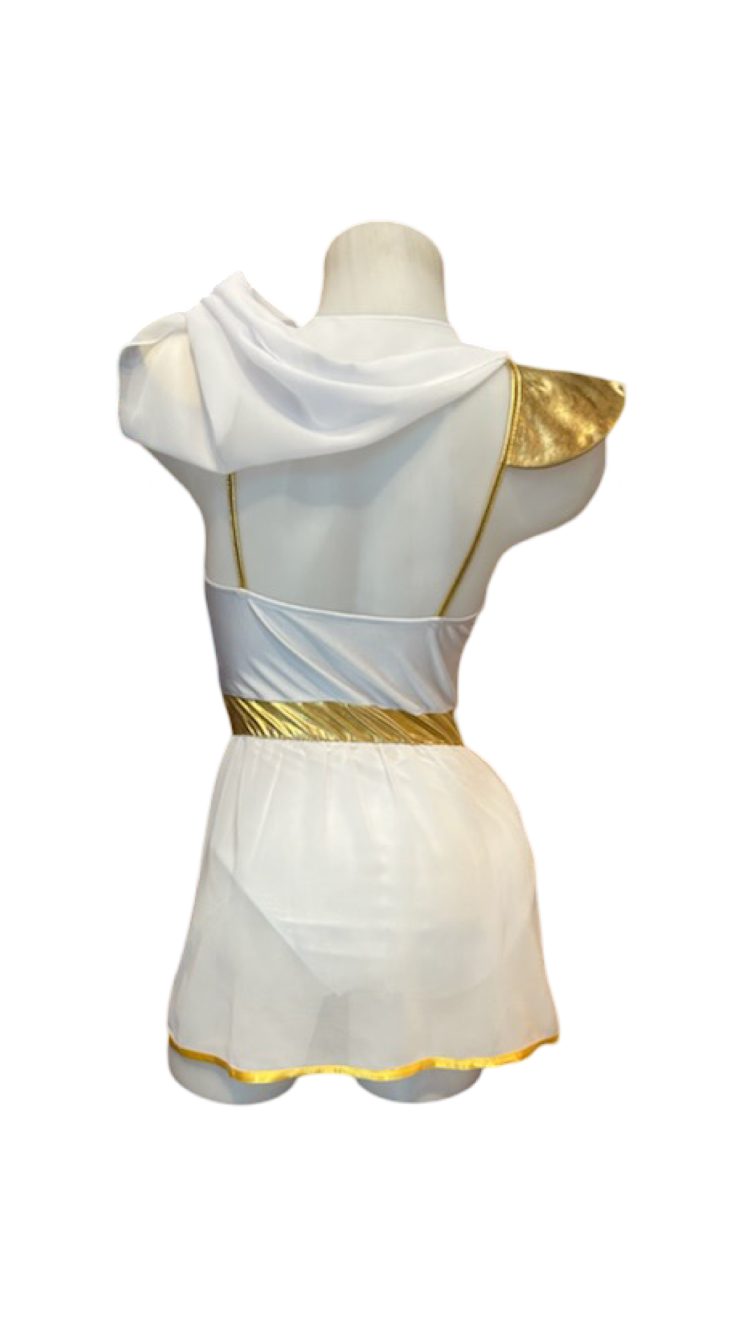 Roman Goddess Costume