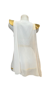 Roman Goddess Costume