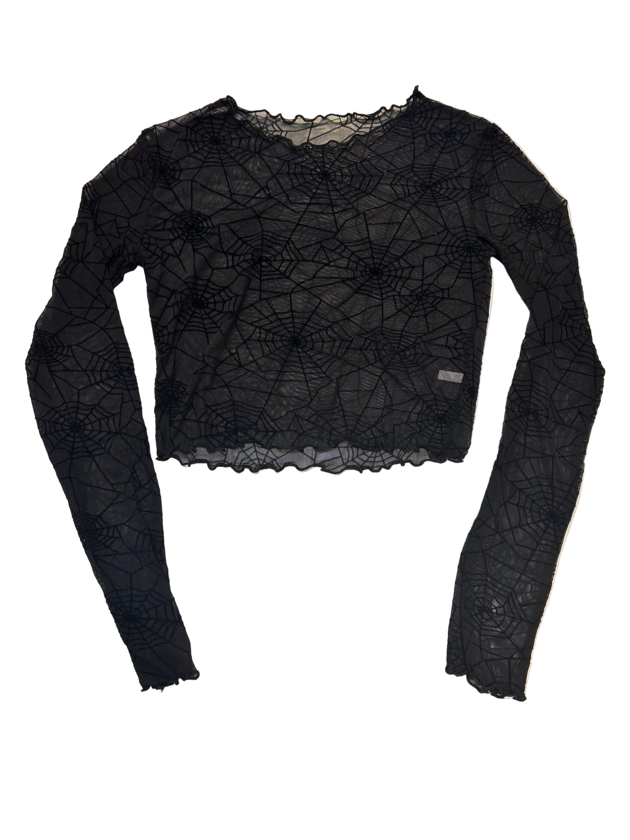 Spider Web Long Sleeve Mesh Top