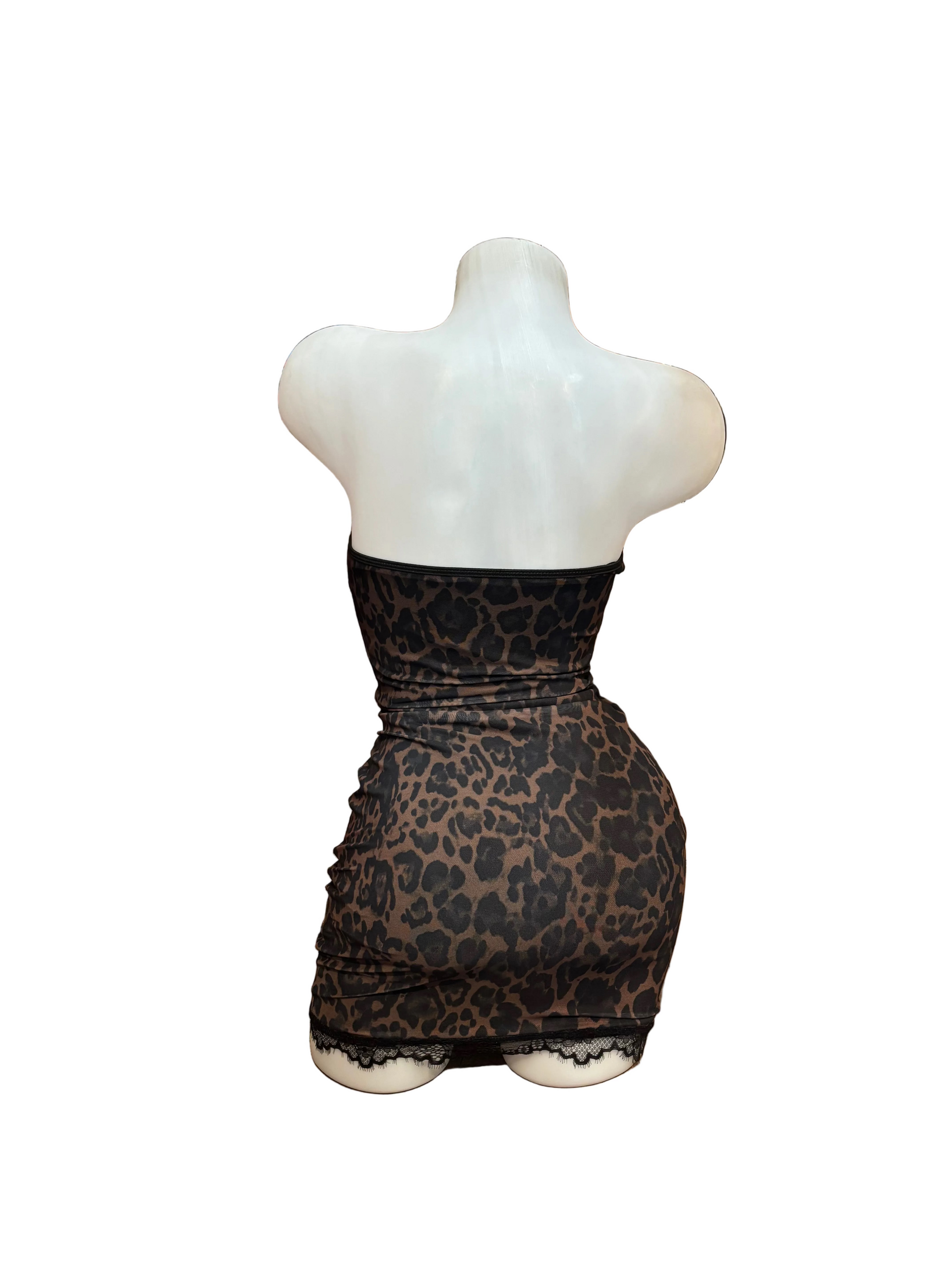 Lace and Leopard Bustier Dress - Model Express Vancouver