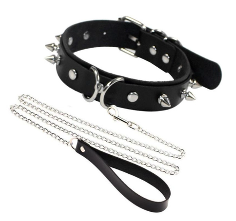 Choker with Silver Leash