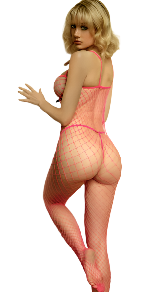 Fence Net Bodystocking with Black Bows - Model Express Vancouver