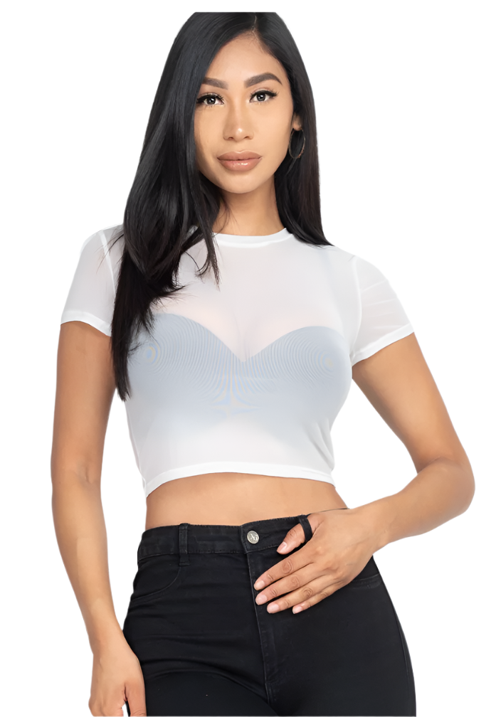 Mesh Short Sleeve Crop Top White