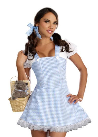 Dorothy Gingham Dress Costume - Model Express VancouverClothing