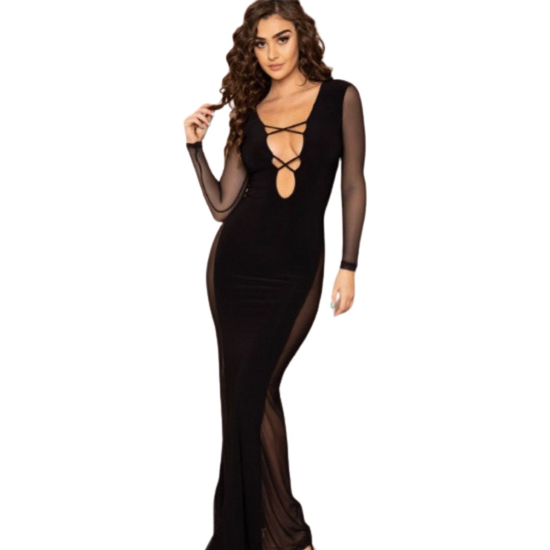 Mesh Plunging Long Sleeve Maxi Dress - Model Express VancouverClothing