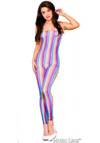 Rainbow Bodystocking - Model Express VancouverLingerie