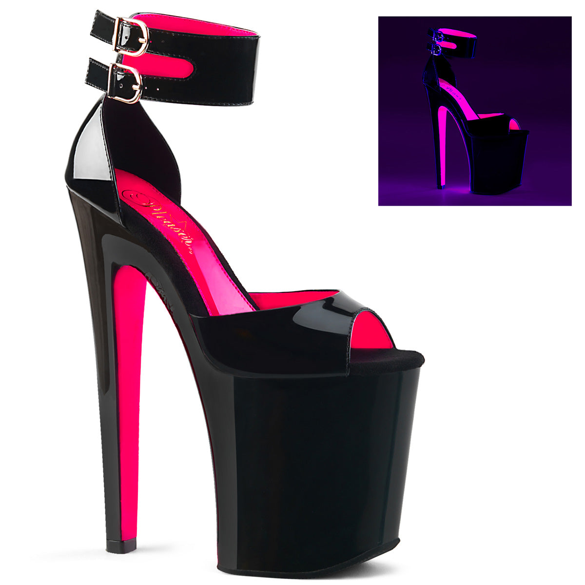 Pleasers Xtreme-875Tt - Blk Pat-Neon H. Pink/Blk